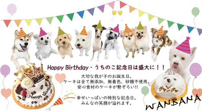犬,用,ケーキ,似顔絵,おやつ,誕生日,お祝い,オリジナル,記念,人気,口コミ,かわいい,小型犬,バースデー,無添加,野菜,通販,冷凍,食いつき,おいしい,ごはん,ヘルシー,ディナー,フード,ワンバナ