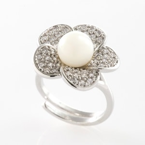 ����ޤ�������ƥ������Ȥ�¥���ޥ������֥ѡ��� : ���