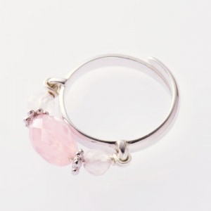 ������Υѥ��в񤤤��Ѥ���������������� : ���