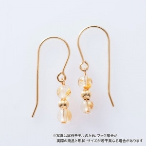 ©��ۤ��褦��˭����������󤻤르����ɥ���� : �ԥ���(�եå�������) �������