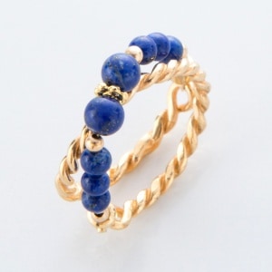 ʬζ̮򷡤Ƥ긺¿Υԥ饺 : 󥰡ڿ̸꾦ʡ