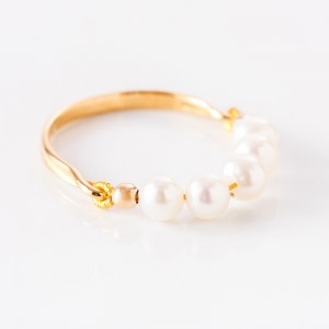 ̤䤹¿Υۥ磻ȥѡ : 󥰡ڿ̸꾦ʡ