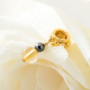 ̴��𤨤Ƥ����ͤȽа��� ���Ӻ¿���߻�Һ�����Υ��奨�꡼ : Moon Charm [�������]