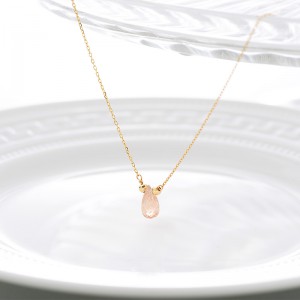 ҺW (֥) Υץߥॸ奨꡼ : ɲ͸ͥå쥹