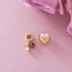 긺¿Υᥤȥ奨꡼ : Moon Charm + 㡼 [  ]