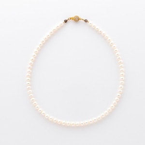 ��������Υѡ��른�奨�꡼���ͥå��쥹