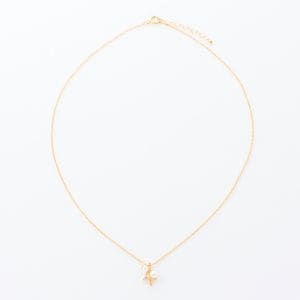 ��������Υ������ȥѡ��른�奨�꡼���ͥå��쥹