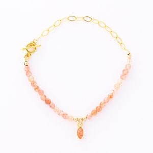 ���踵ö���奨�꡼2026���֥쥹��å�