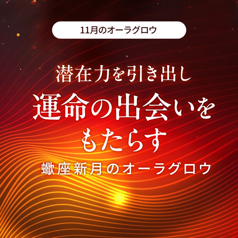 [�ե�������������] �����饰����