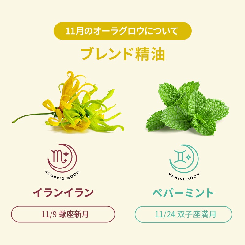 [�ե�������������] �����饰����