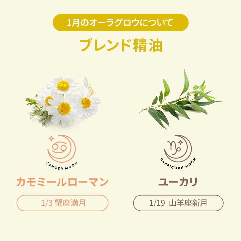 [�ե�������������] �����饰����