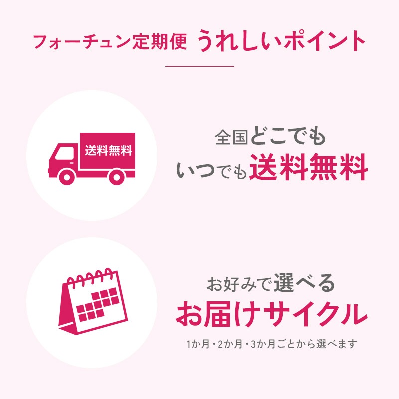 [�ե�������������] �Х��֥졼�����ץ��ƥ�����