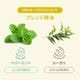 [�ե�������������] �����饰����