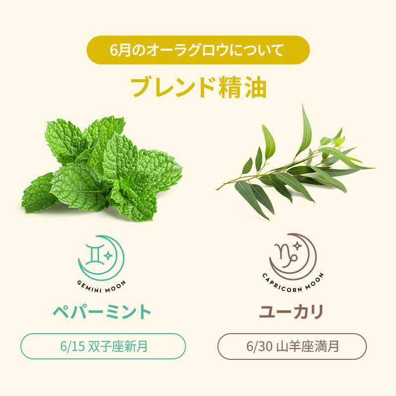 �����饰�����ʥڥѡ��ߥ�ȡ��桼�����