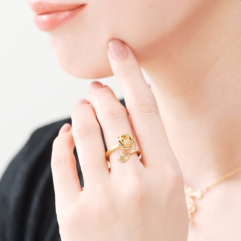 ������ɥ���롦���奨�꡼ : ���