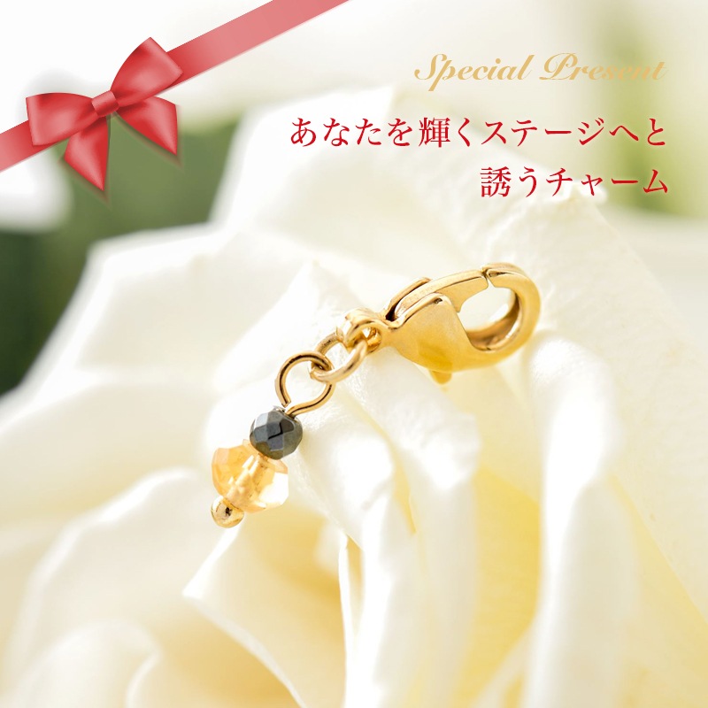 ̴��𤨤Ƥ����ͤȽа��� ���Ӻ¿���߻�Һ�����Υ��奨�꡼ : Moon Charm [����С�]