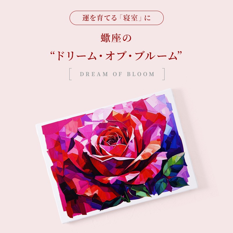 ɥ꡼ࡦ֥֡롼긺¡ÿѡ