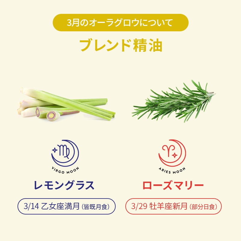 [�ե�������������] �����饰����