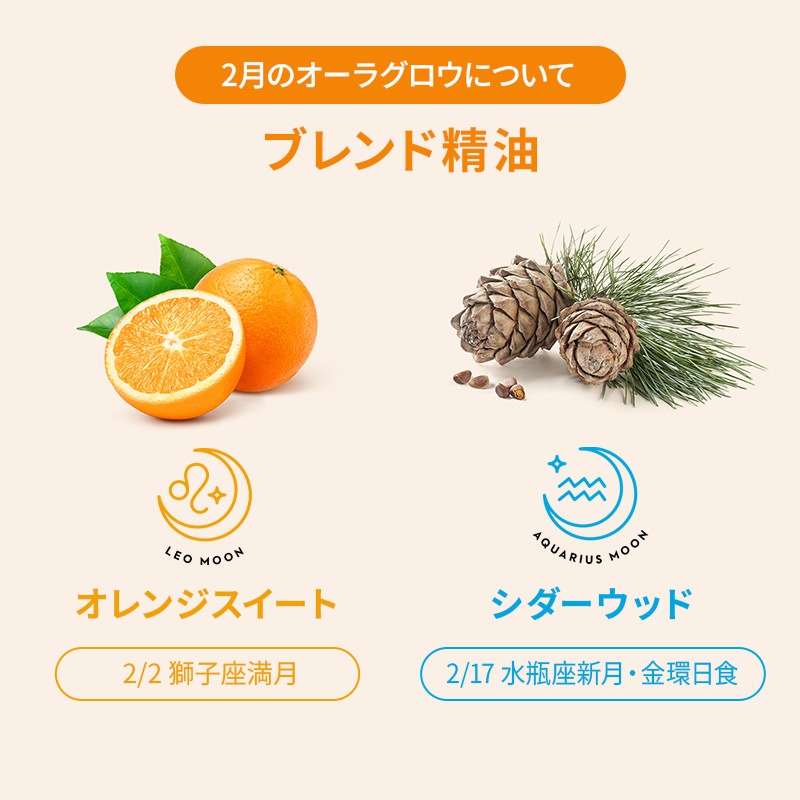 �����饰�����ʥ���󥸥������ȡ����������åɡ�