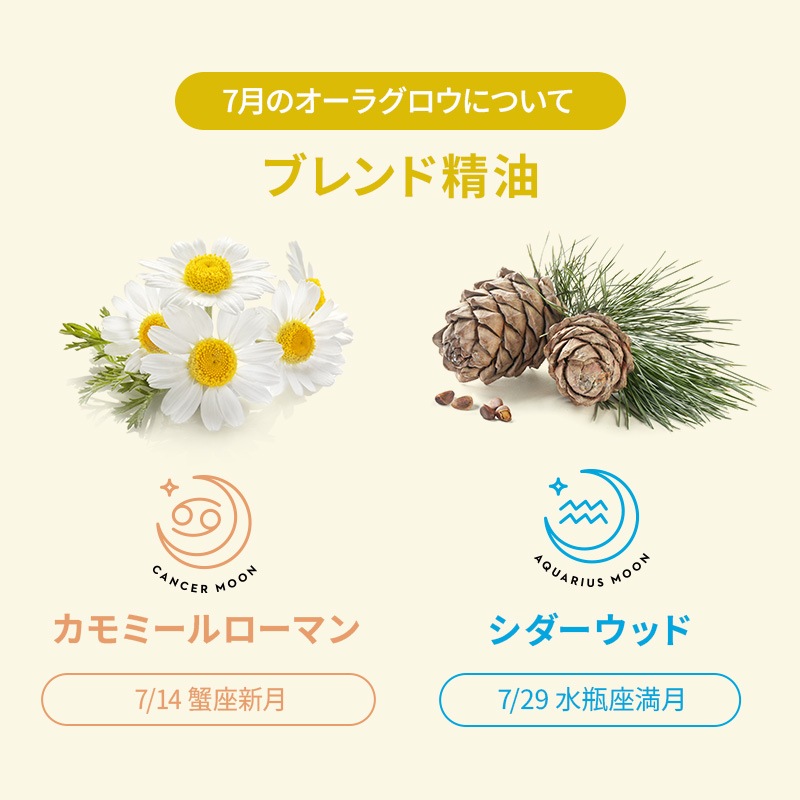 [�ե�������������] �����饰����