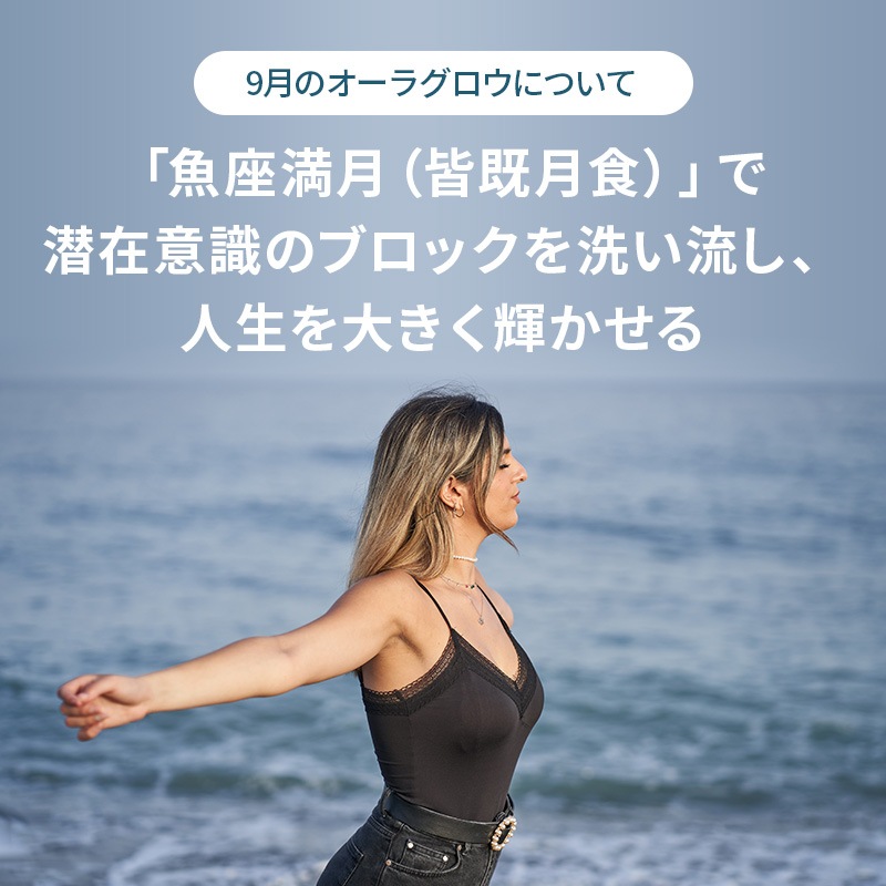 [�ե�������������] �����饰����