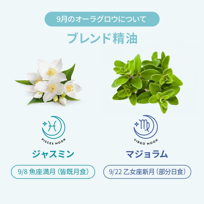 [�ե�������������] �����饰����