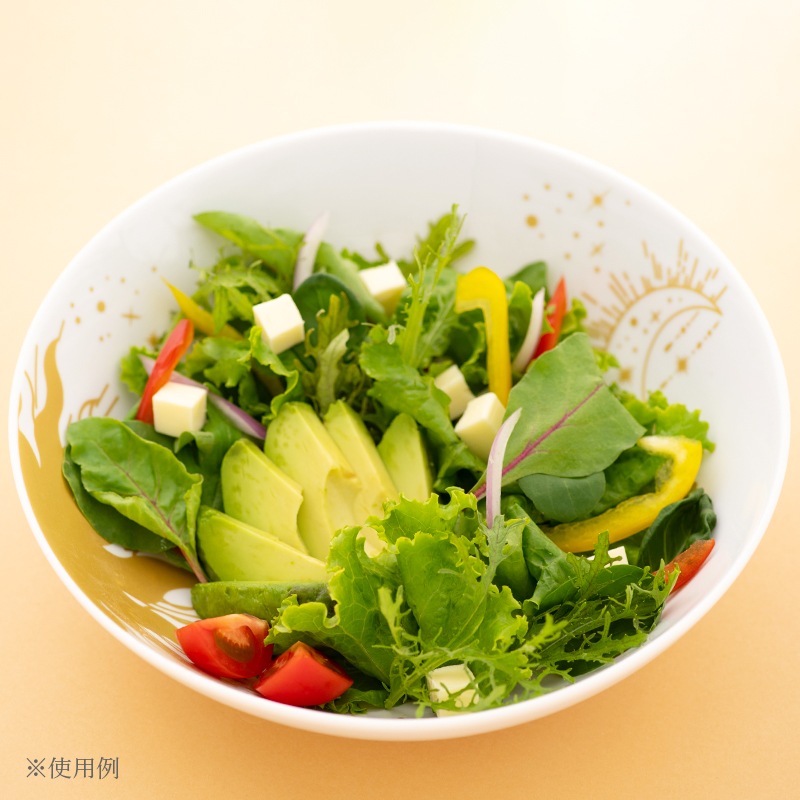 �����ߥå��ܥ���