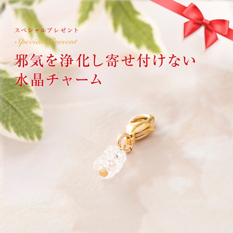 �ѥ�ե��󡦥��ߥ��å� : �ͥå��쥹