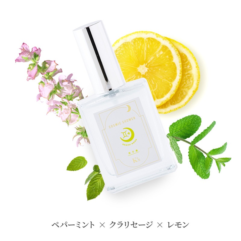 �����ߥå��������лҺ�