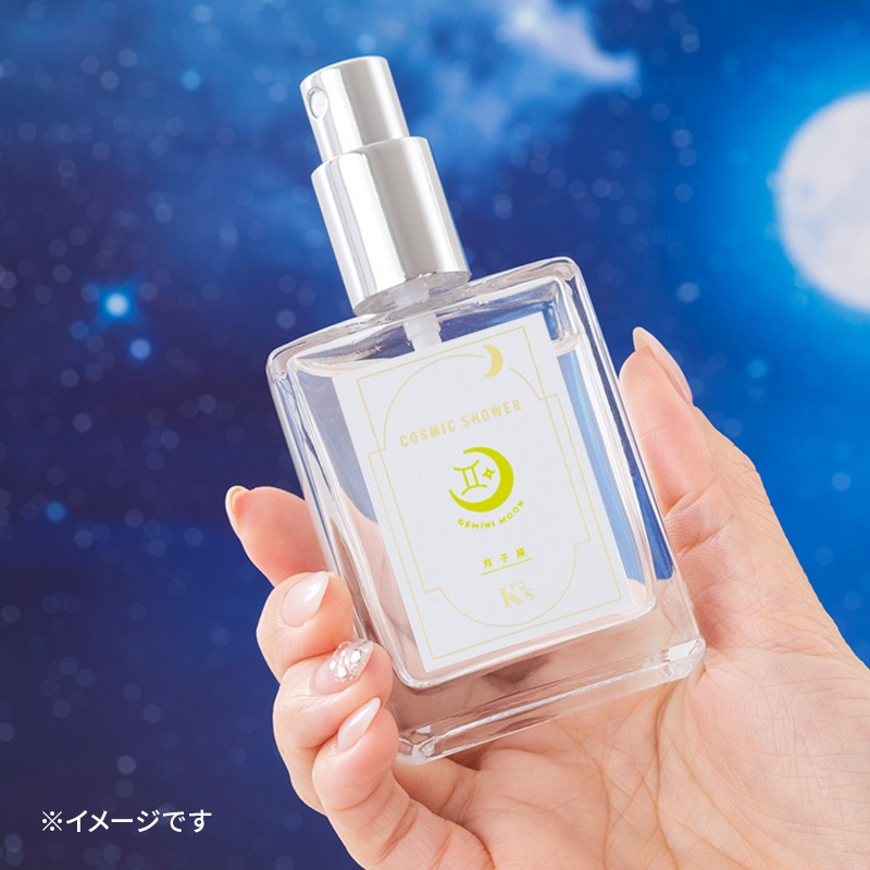 �����ߥå��������лҺ�