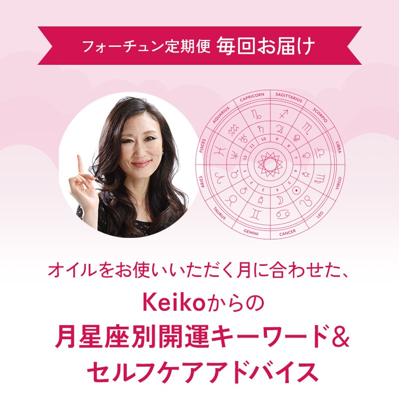 [�ե�������������] �����饰����