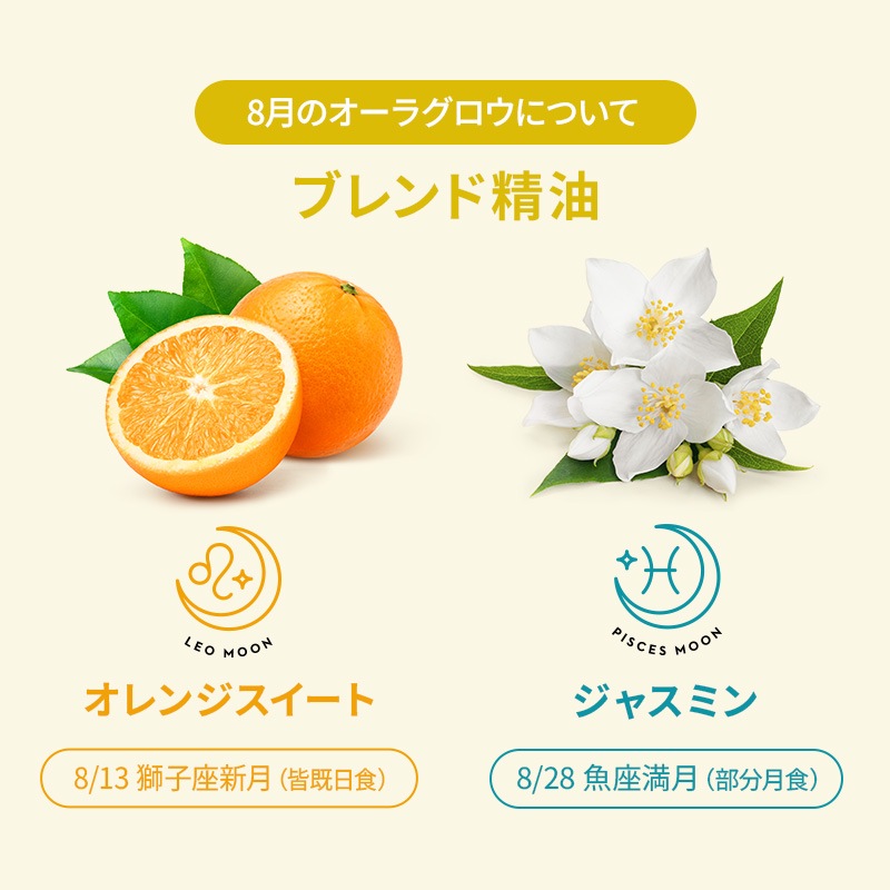 �����饰�����ʥ���󥸥������ȡ����㥹�ߥ��