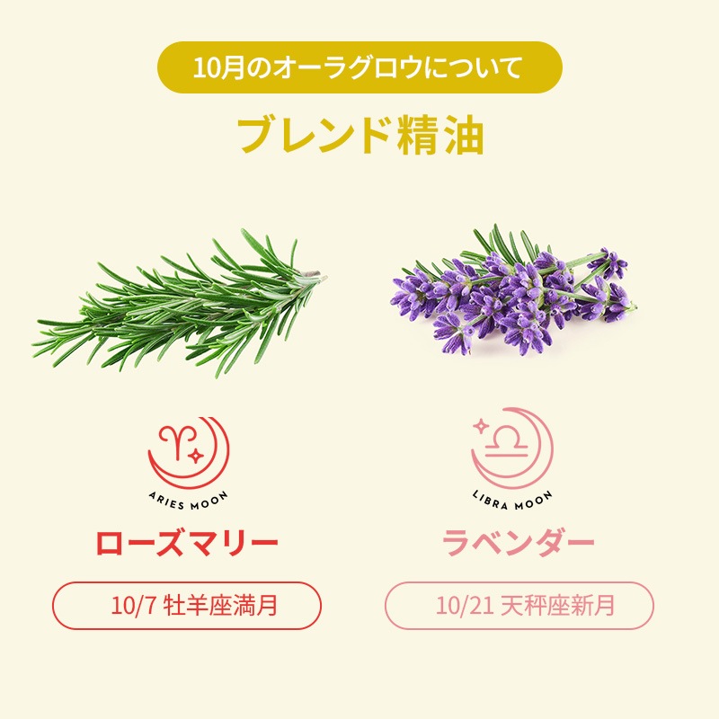 �����饰�����ʥ������ޥ꡼����٥������