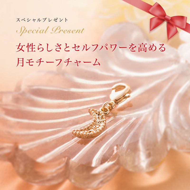 ���¿���Υ����������奨�꡼ : Moon Charm �� ����㡼�� [ ������� ]