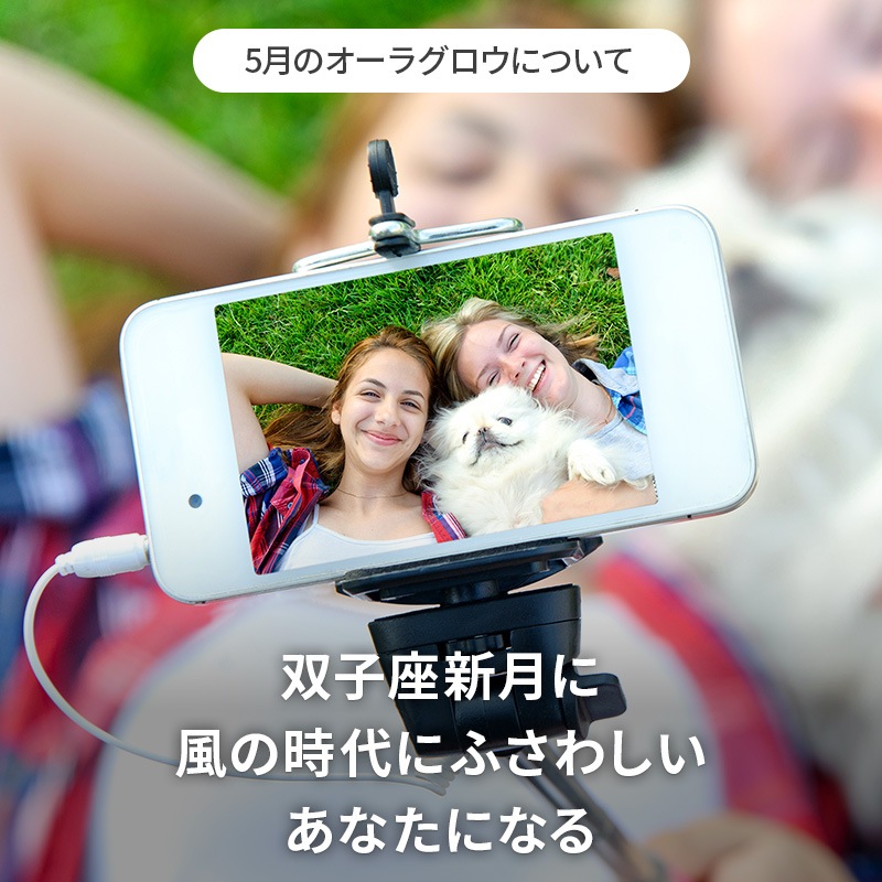 [�ե�������������] �����饰����