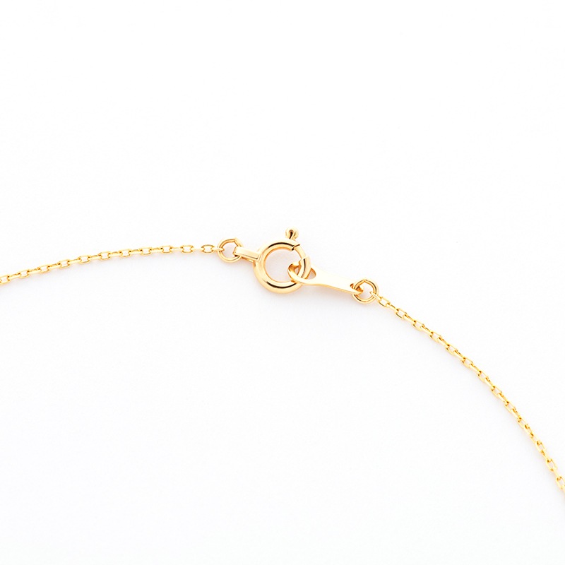 踵öΥץߥॸ奨꡼ͥå쥹