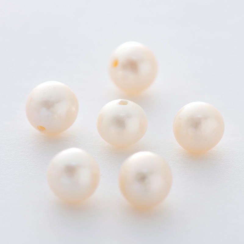 ��������Υѡ��른�奨�꡼��������