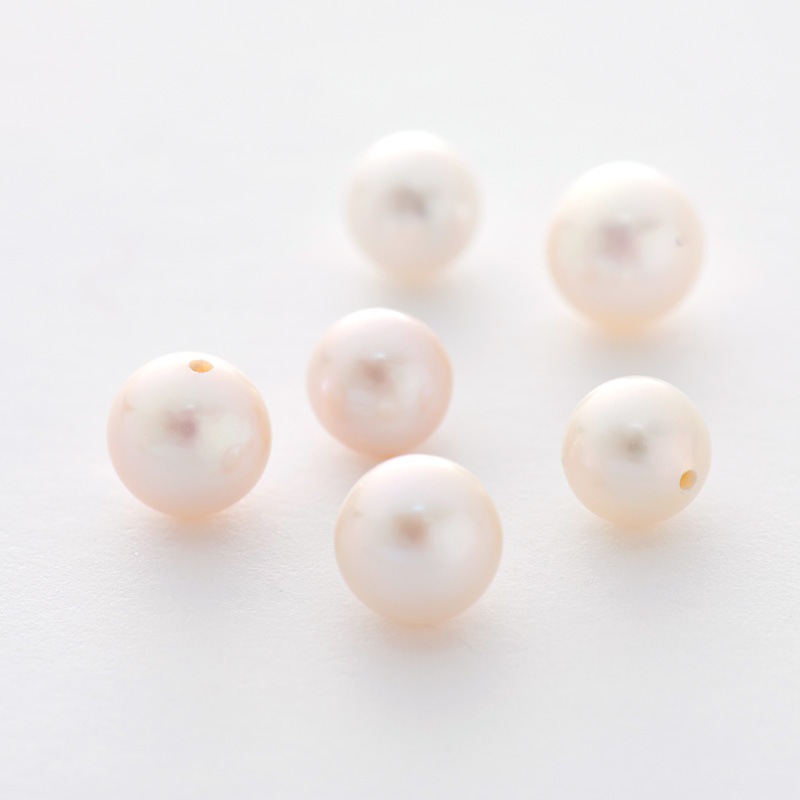 ��������Υѡ��른�奨�꡼�����