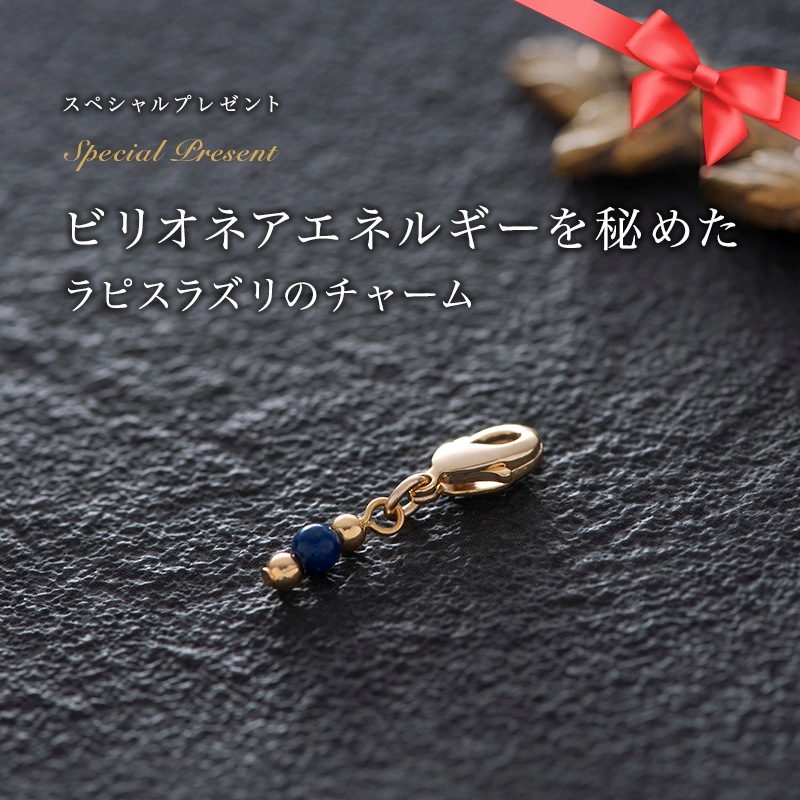 ޥ͡졼ɥåץ奨꡼ : ͥå쥹