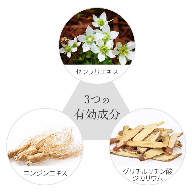 [ե] Ritua ܥ˥ѥإ