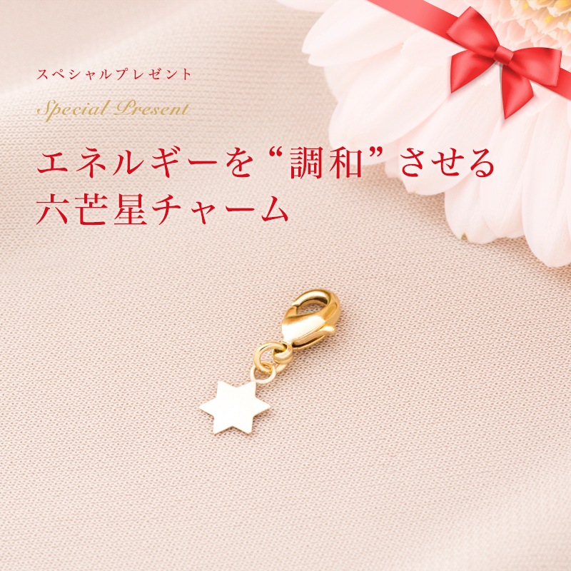 ���֥륰���ɥȥ饤�󡦥��奨�꡼ : �ͥå��쥹