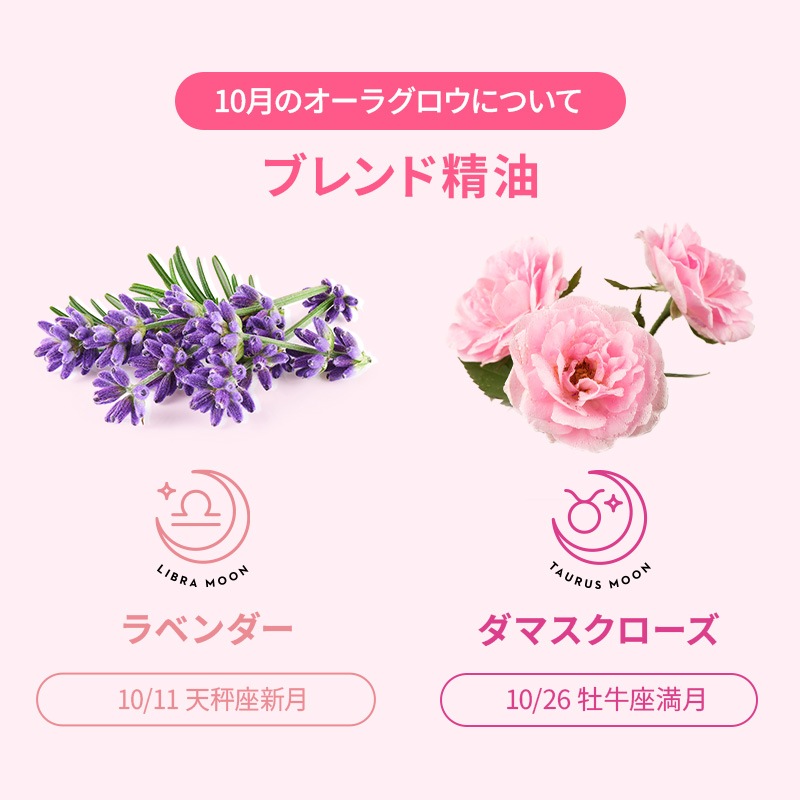 [�ե�������������] �����饰����