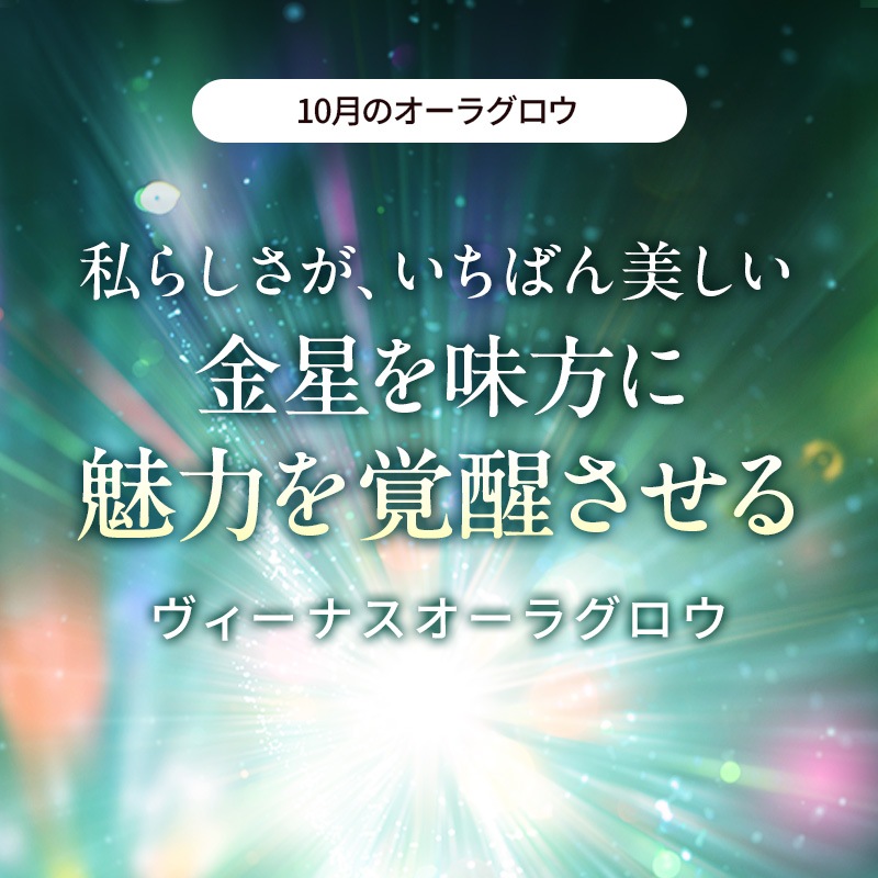 [�ե�������������] �����饰����