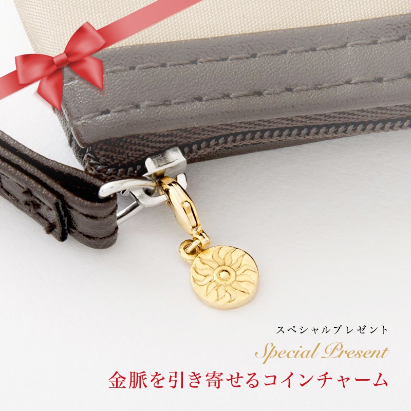 �����ɤ뤬�ʤ���̮��������� �ޥ͡��ᥤ���󥰥��奨�꡼ : Moon Charm [������� / ����С�]