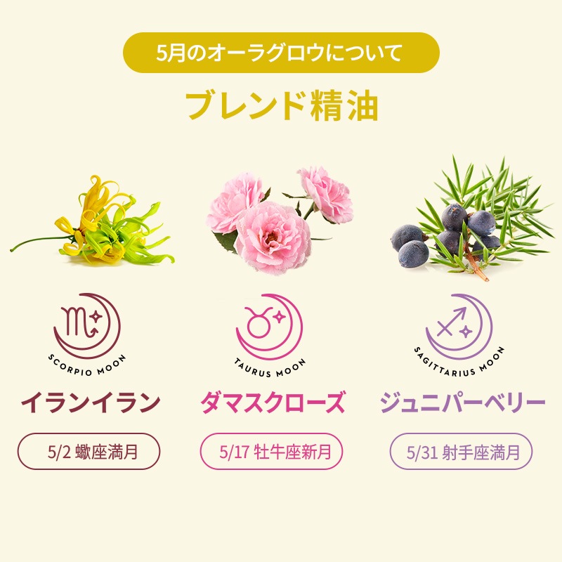 �����饰�����ʥ���󥤥�󡦥��ޥ���������������˥ѡ��٥꡼��