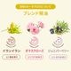 �����饰�����ʥ���󥤥�󡦥��ޥ���������������˥ѡ��٥꡼��
