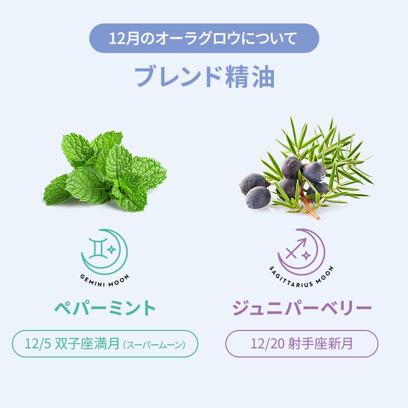 饰ʥڥѡߥȡ˥ѡ٥꡼