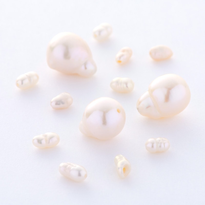 ��������Υѡ��른�奨�꡼���ͥå��쥹