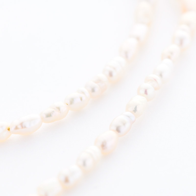 ��������Υѡ��른�奨�꡼���ͥå��쥹