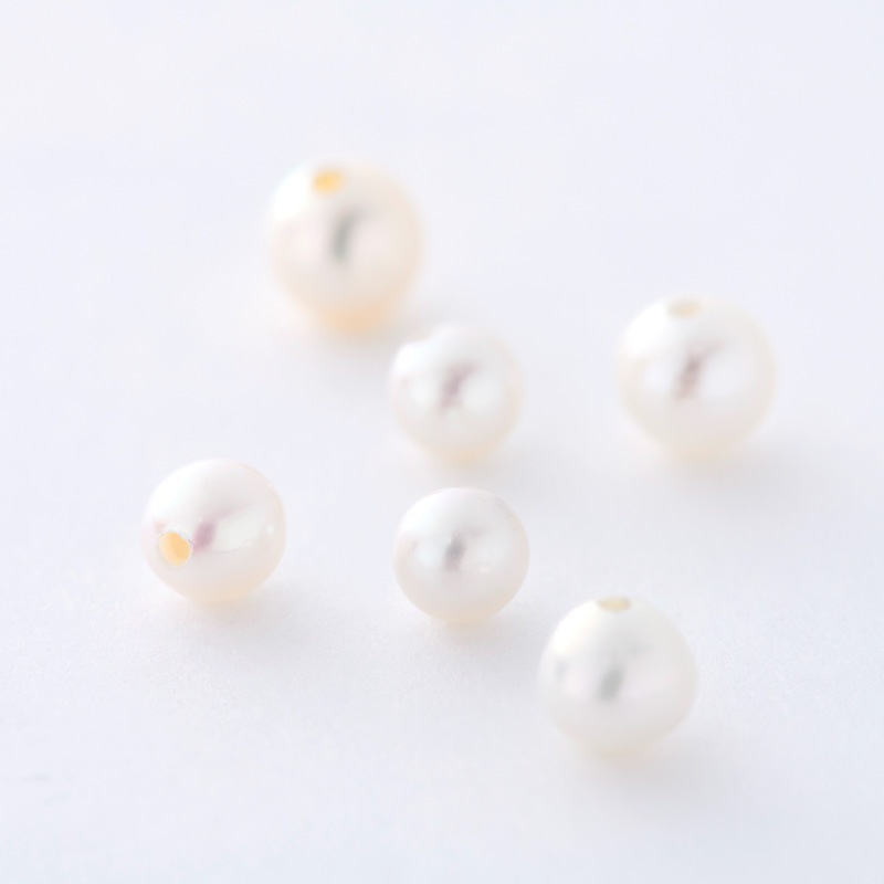 ��������Υ������ȥѡ��른�奨�꡼���ͥå��쥹